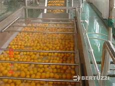 Orange Juicers